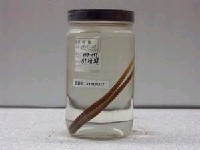 藏品(薛氏海龍)的圖片